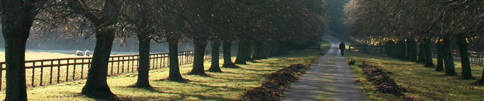 Psychologie – Aktuell